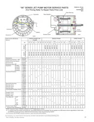 Flint and Walling CJ101 1PH & 3PH Replacement Motors