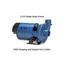 Flint and Walling CJ103 Single Stage Centrifugal Pumps, Parts, and Motors