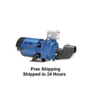 Flint and Walling CPHS Shallow Well Jet Pumps, Parts and Motors