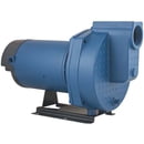 Flint and Walling Residential 1 Phase Sprinkler Pumps